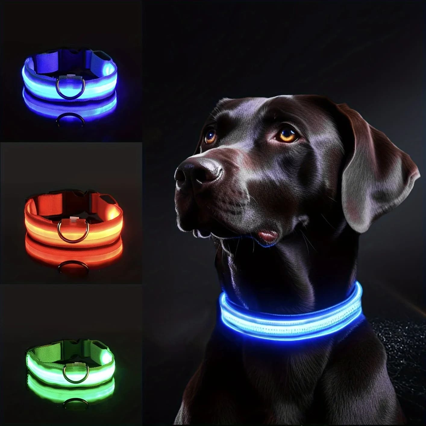 Collare per cani riflettente a LED per la sicurezza notturna: durevole, con motivi geometrici, alimentato a batteria, ideale per razze piccole/medie