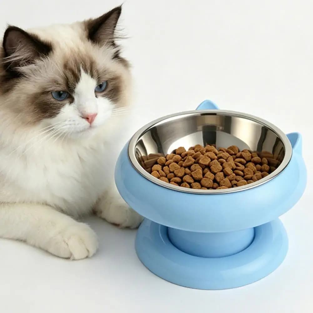 Cat Elevated Food Bowl Non-slip Cat Water Dish Elevated Pet Feeding Station Detachable Stainless Steel Bowl Raised for Indoor