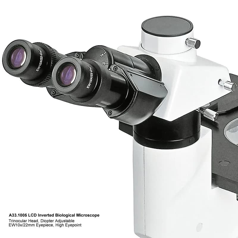 A33.1005 Microscopio biologico invertito LCD digitale