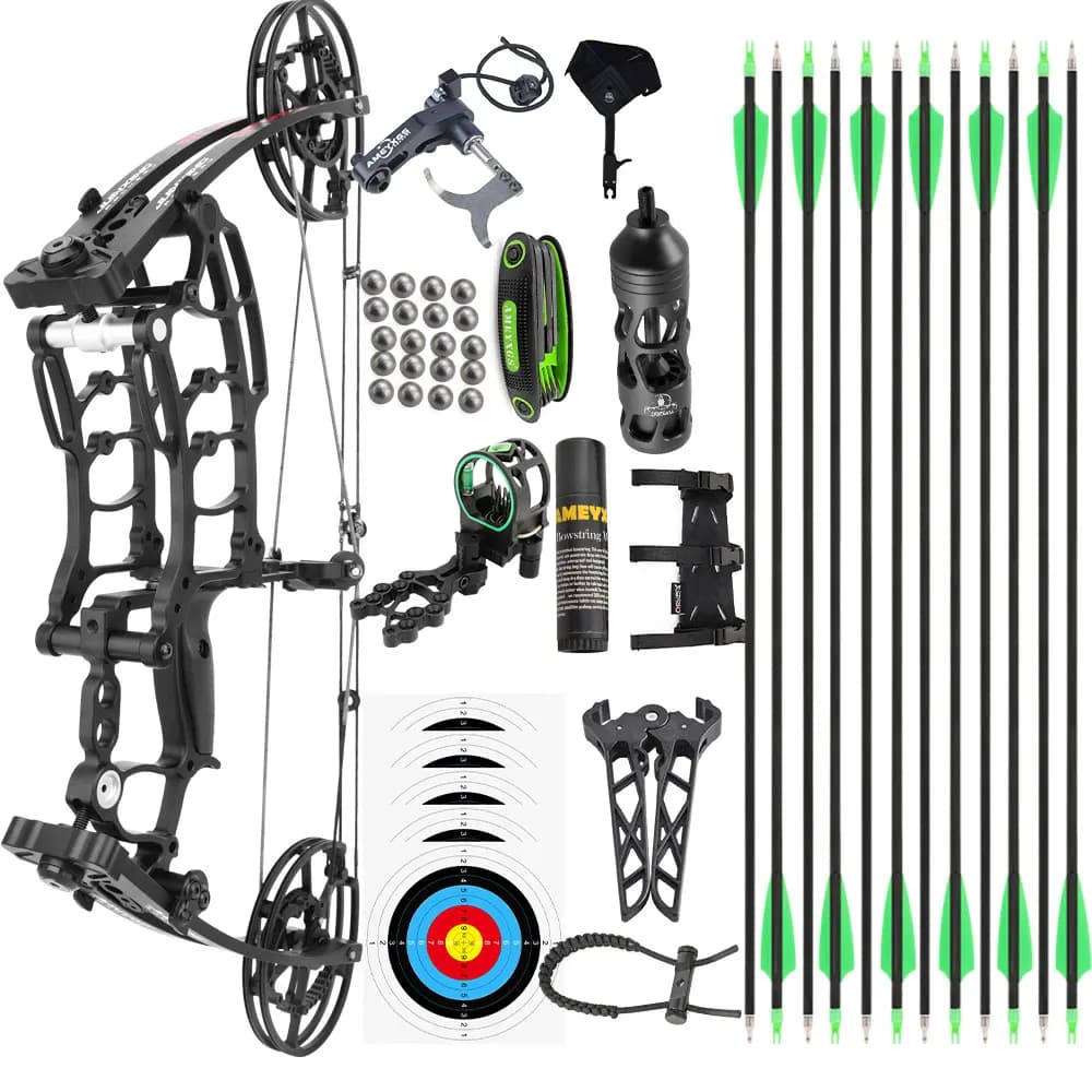 40-65lbs Dual-use Compound Bow CNC Bow Handle Wheel 420FPS Steel Ball Speed Archery Hunting Shooting Target Carbon Arrow Ball