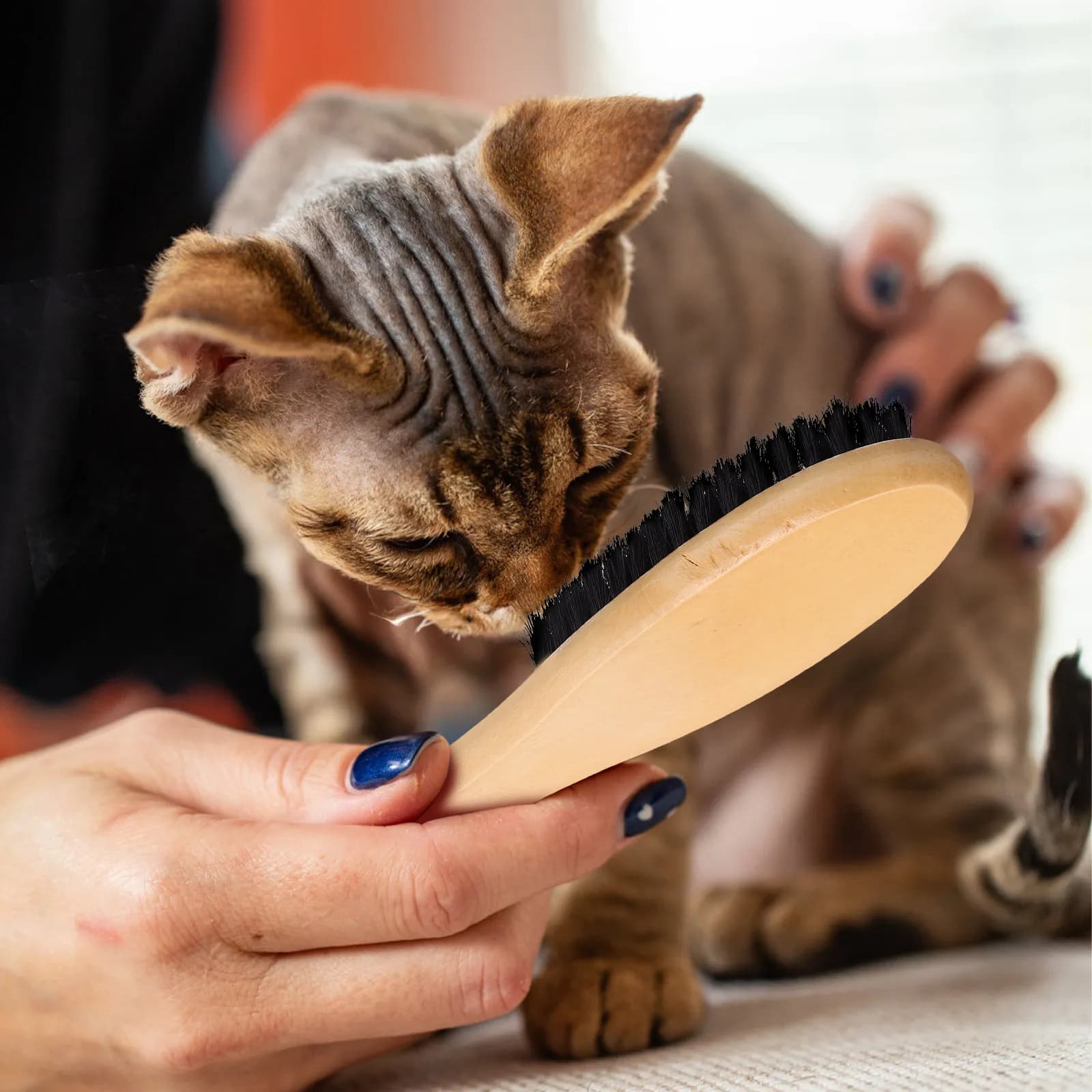 Spazzola in legno a manico lungo per la pulizia e la lucidatura delle scarpe, spazzole per gatti da interno, spazzola per vestiti, strumento per la pulizia di stivali e bucato