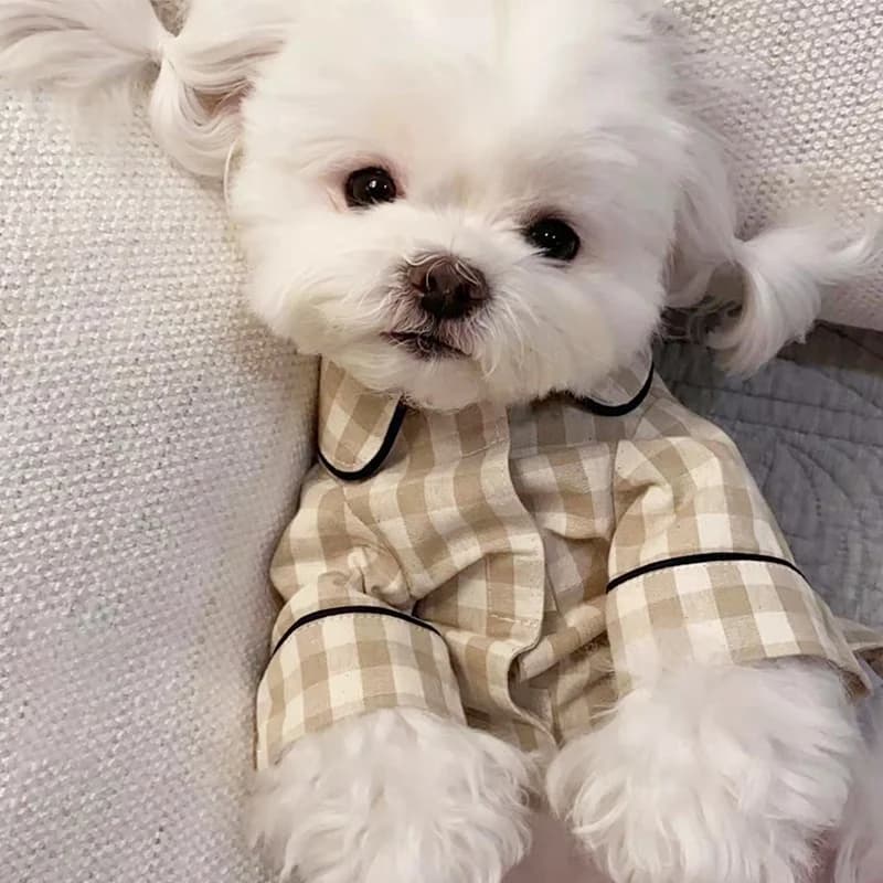 Camicia per cani scozzese carina Vestiti estivi per animali domestici Pigiama per cuccioli di moda Caldo morbido gatto Vestiti per la casa Camicia per animali Chihuahua Bichon Costume