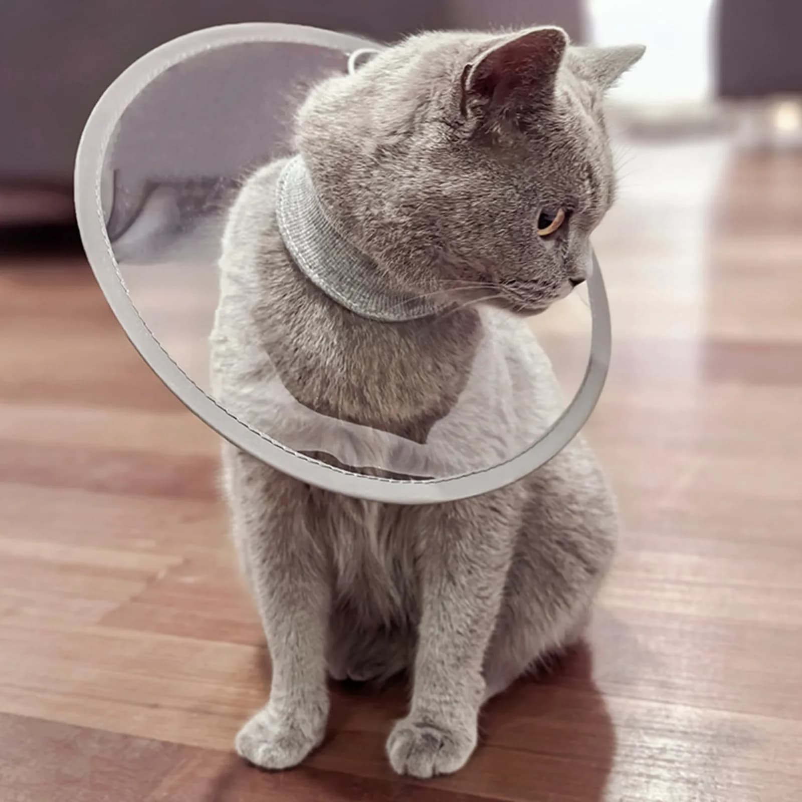 Soft Cat Recovery Collar Protective Adjustable Pet Cone Collar For After Surgery Comfortable Lightweight Elizabethan Collar