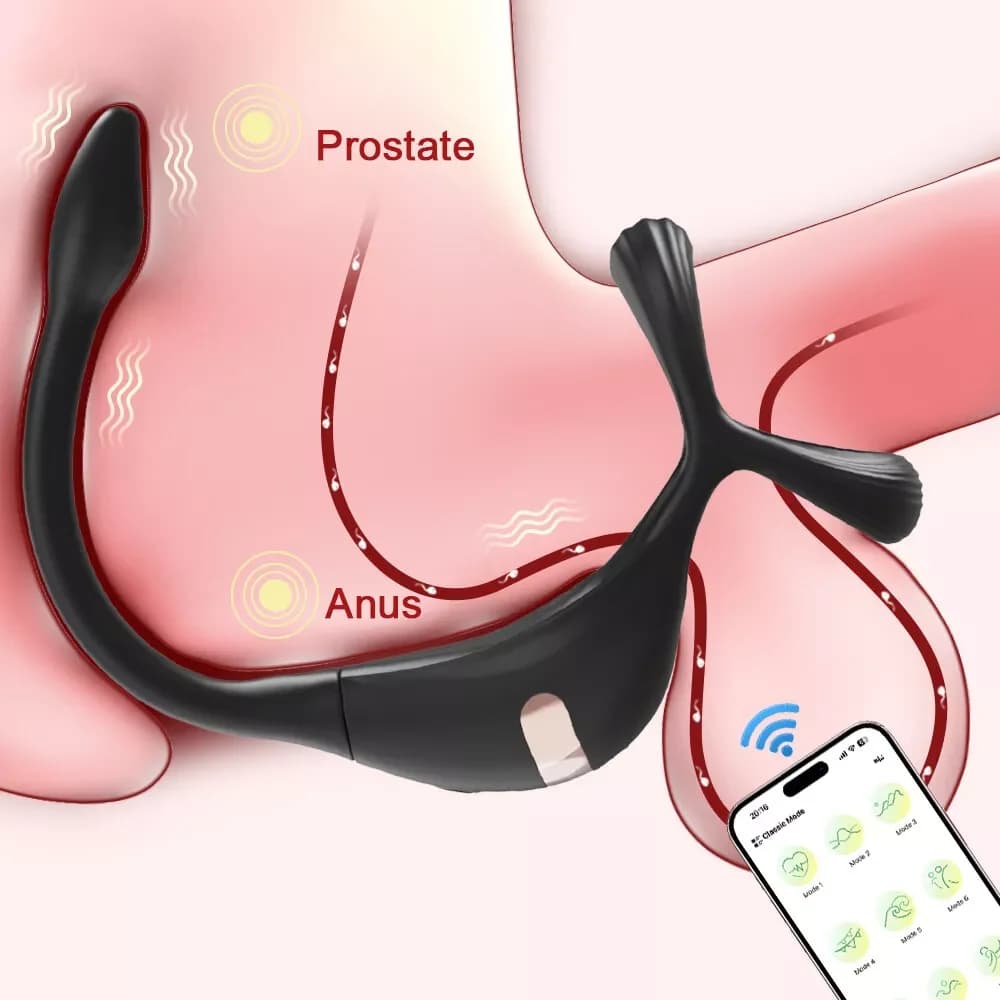 Vibrant penile ring with mini prostate massager App control Sexual toys Perineum stimulator for men Penis ring pair with anal plug