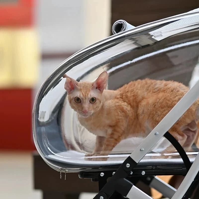 Foldable Panoramic Breathable Pet Stroller Windproof Rainproof Outdoor Cat Dog Carrier Cart