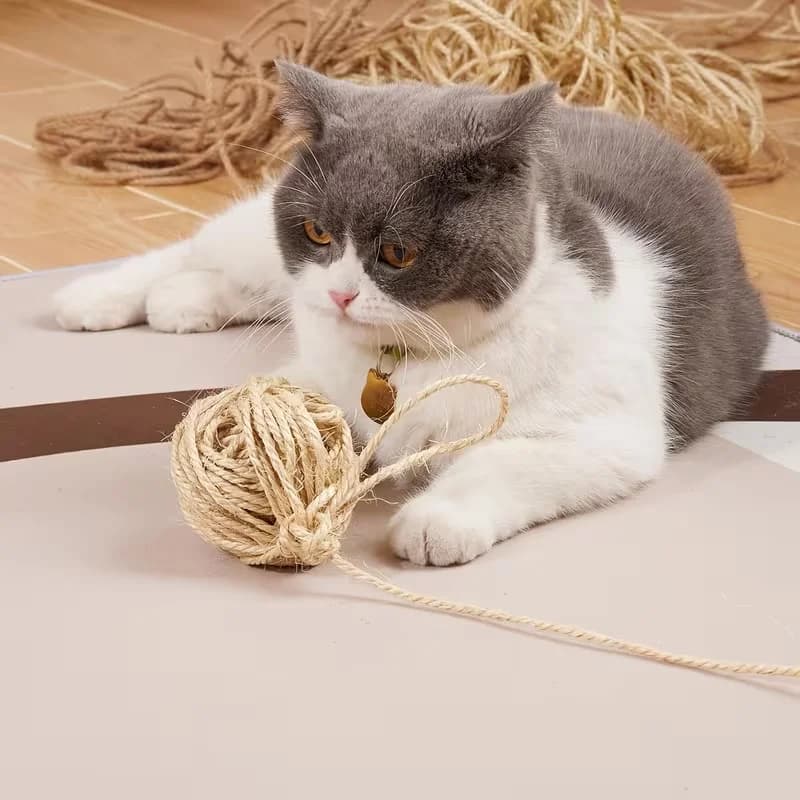 Corda in sisal naturale Tiragraffi per gatti Giocattoli per realizzare gambe per sedie da scrivania fai-da-te Materiale per corda per legare per gatti Affilare l'artiglio