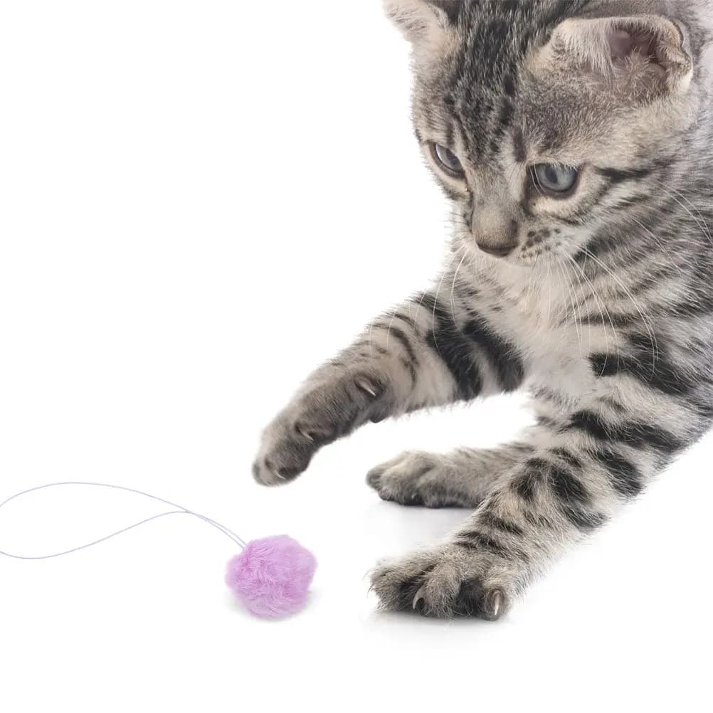 6 Pezzi Palline Interattive con Campanello per Gatti, Accessorio Sospeso per Tirare e Inseguire, Ricambio per Tiragraffi e Alberi per Gatti