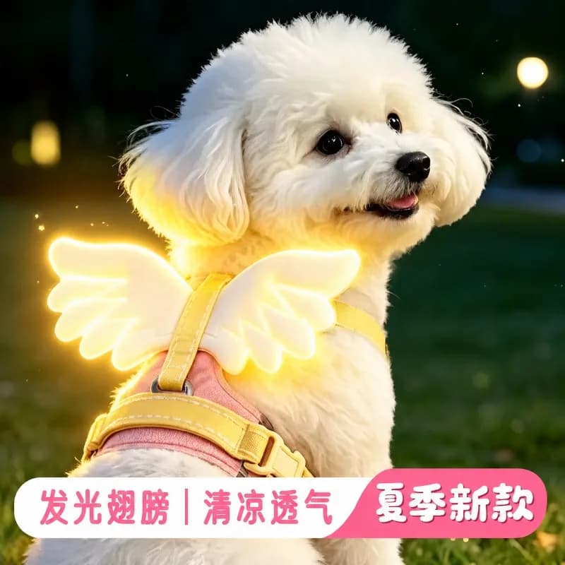 Angel 3D Wing Dog Harness Adjustable Outdoor Walking Vest with Leash for Small Medium Large Dogs Pet Decor Harness Supplies