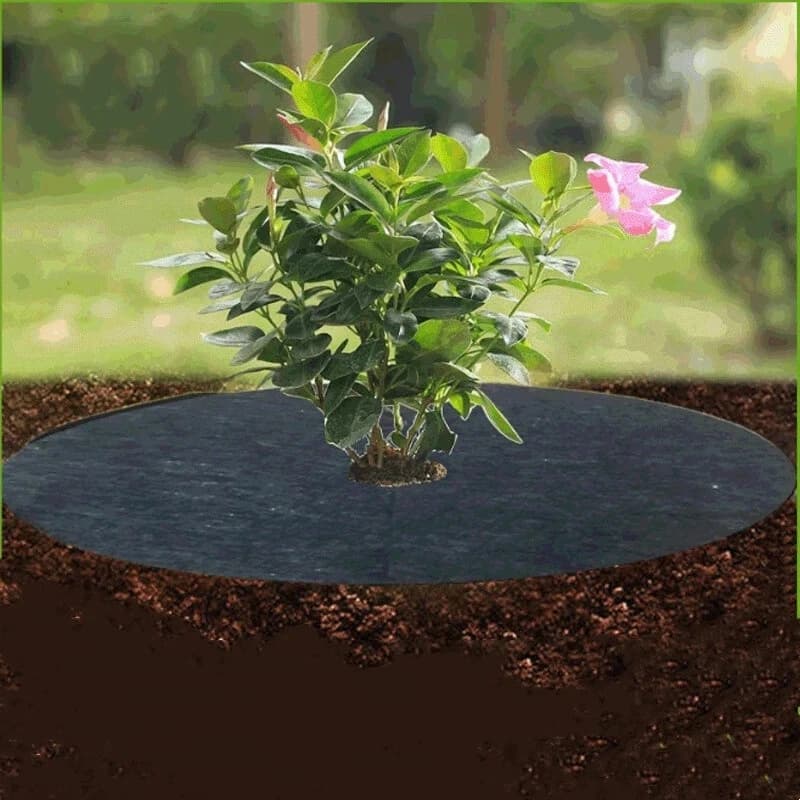 10PCS Tree Mulch Anello Non Tessuto Diserbo Barriera Protezione Zerbino Pianta Copertura Anti Erba, Tessuto da Giardinaggio Weed Control all'aperto