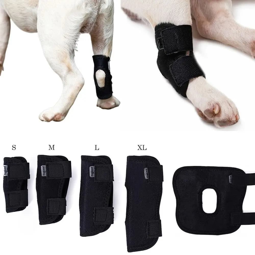 Strumenti sollievo dal dolore avvolgere cane artrite protezione copertura cani Hock Joint Brace cani recupero lesioni ginocchiere per animali domestici supporto per le gambe del cane