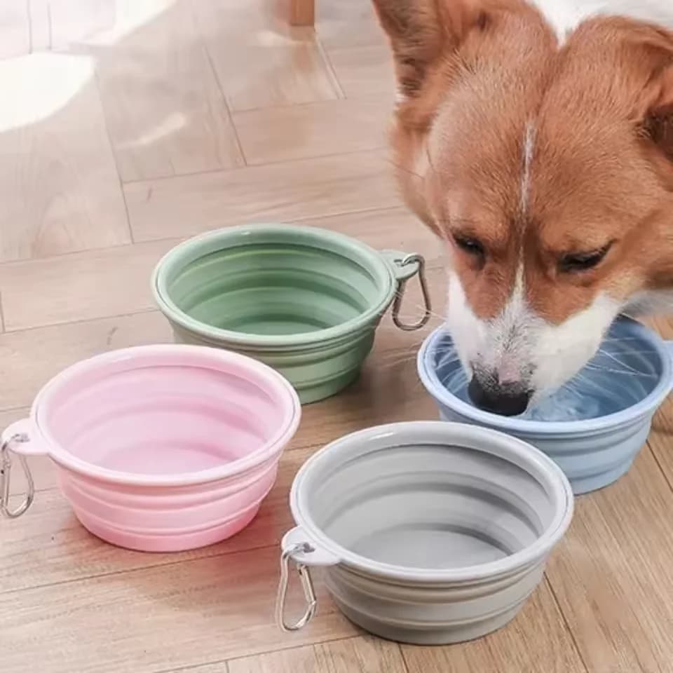 Ciotola per cani pieghevole in silicone per animali domestici da viaggio all'aperto Pieghevole portatile per cibo per gatti Contenitore per acqua di grande capacità Ciotola per alimentazione Forniture per animali domestici