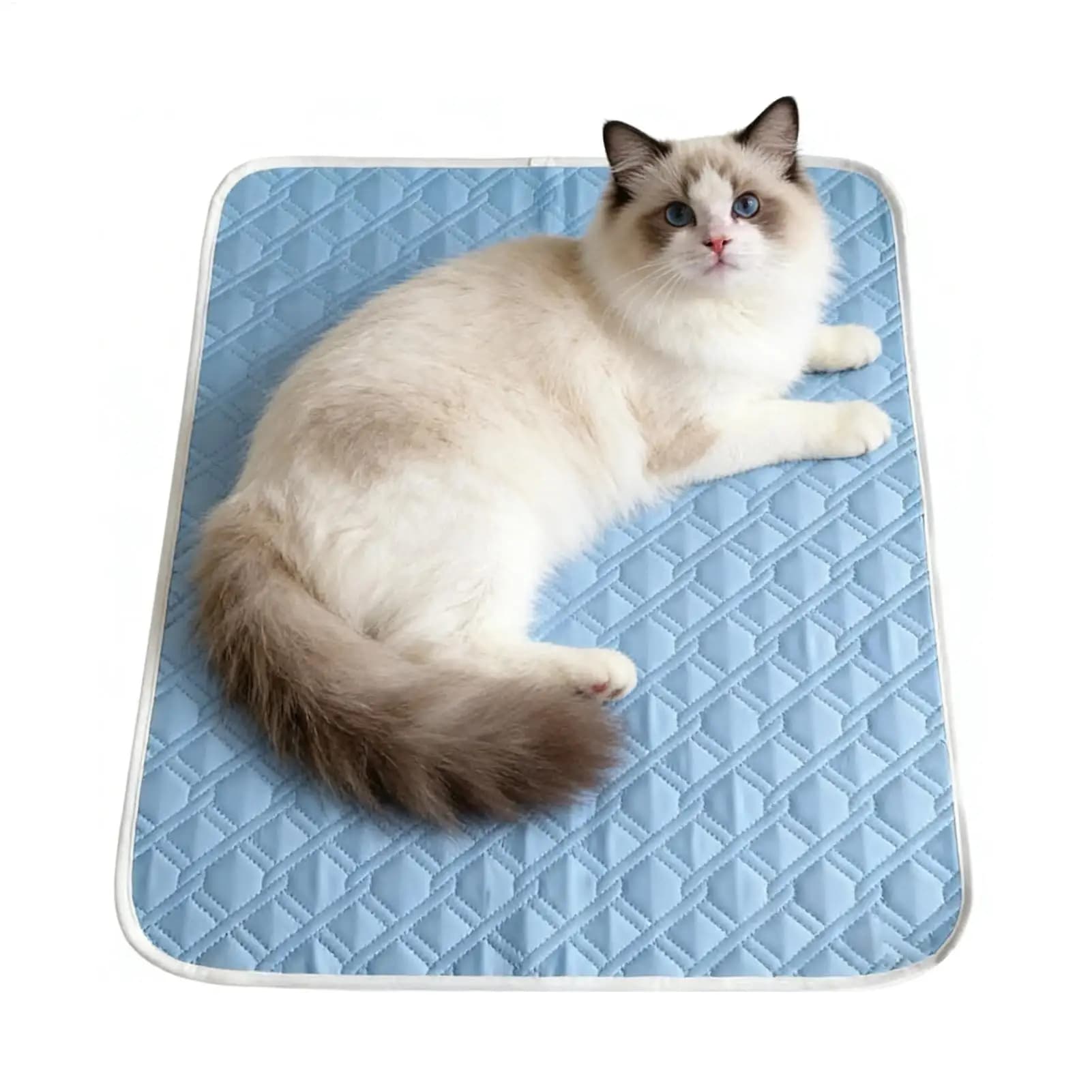 Tappetino Refrigerante per Animali Domestici 45x35cm, Tappeto Assorbente per il Sudore del Cane, Morbido Tappetino Autoraffreddante, Coperta Rinfrescante Estiva per Cani