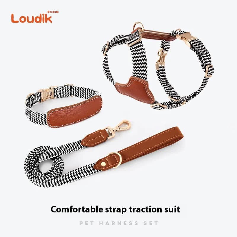 Loudik Fashion Pet Dog pettorina guinzaglio collare Set per Indoor Outdoor Dog Walking antideflagrante Punch Traction Set