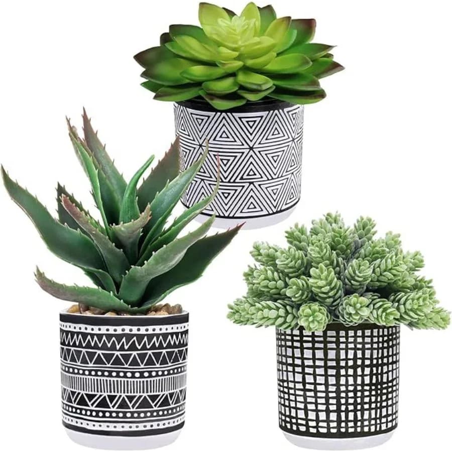 Set di 3 piante grasse artificiali per decorare la scrivania, vasi in plastica con piante finte realistiche verdi e beige per uso domestico o in ufficio