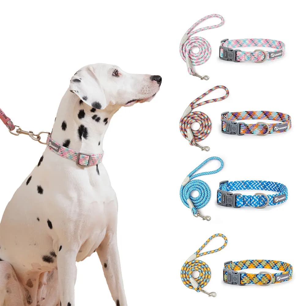 Set di guinzagli e collare per cani di taglia piccola, media e grande, per animali domestici, bulldog francese, Chihuahua, carlino, collare di piombo per passeggiate all'aperto