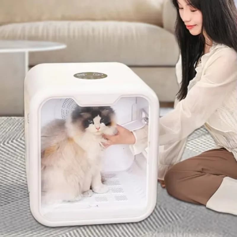 Automatic Dryer for Domestic Animals, Ecological Box for Drying and Bathing Dogs and Cats, Pet Hair Dryer