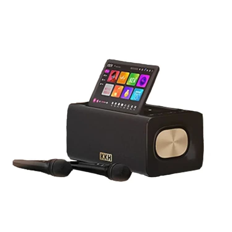 Sistema di intrattenimento KTV domestico esterno con schermo da 10,1 pollici professionale per lettore karaoke portatile con 2 microfoni wireless