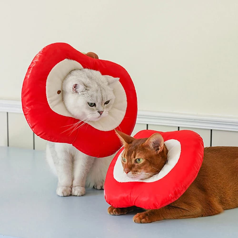Collare protettivo per animali domestici Anello in cotone per mele Copri testa per gatti Collo per cani Cono Recupero Sterilizzazione Alimentazione Anti-morso Protezione per leccare