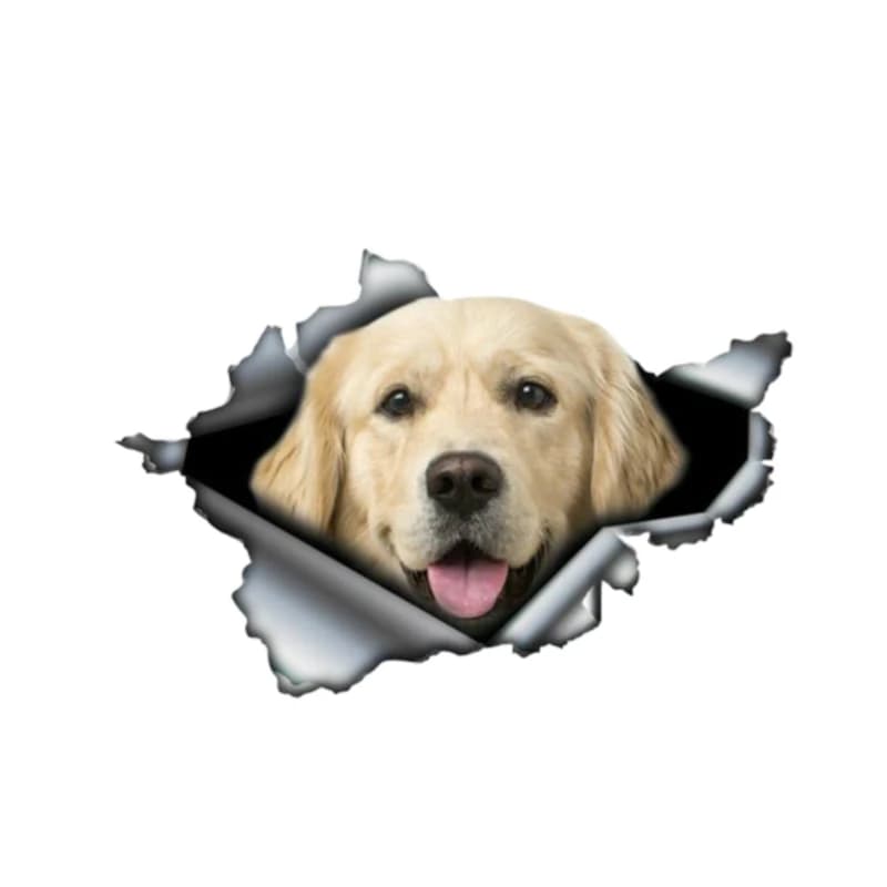 LYKX Golden Retriever Paraurti in metallo strappato Divertenti adesivi per auto Finestra Tronco Animale 3D Styling Decalcomania riflettente in PVC, 13 cm * 8,8 cm