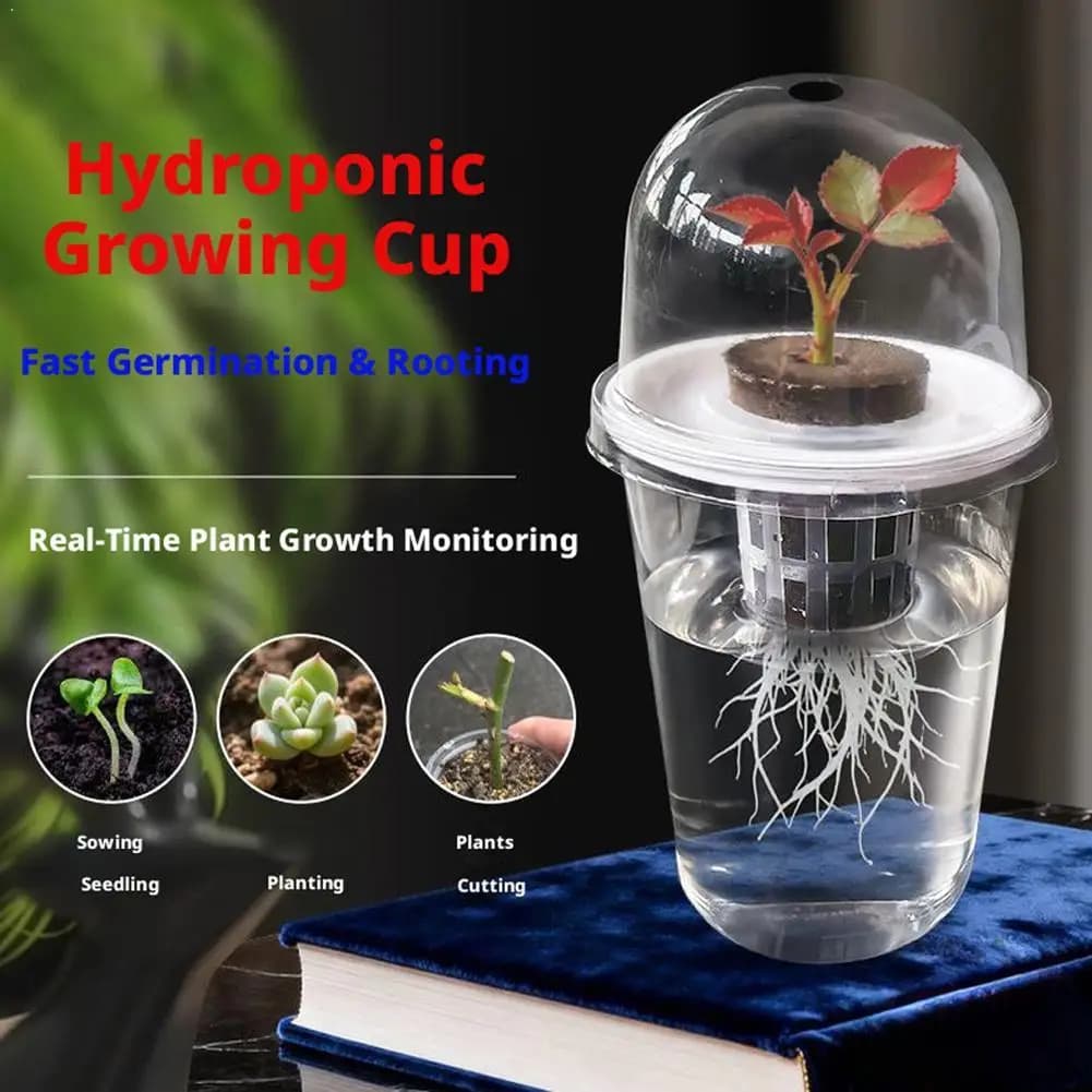 Vaso idroponico trasparente in plastica per piantine di ortaggi, con sistema radicale visibile, per germinazione in serra