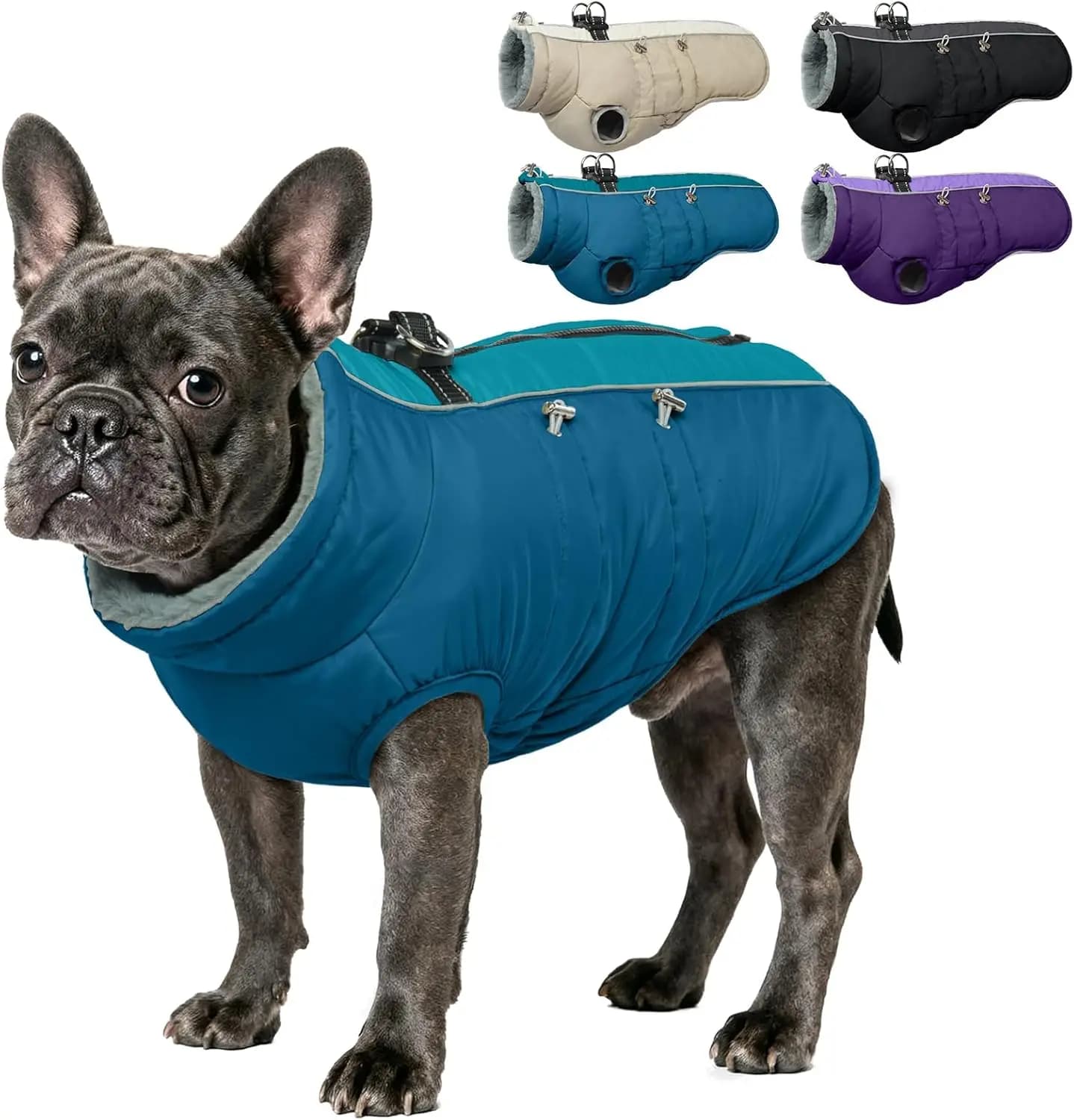 Giacca Impermeabile Riflettente per Cani con Imbracatura, Cappotto Invernale in Pile con Collo Alto per Cani Piccoli, Medi e Grandi, Blu M