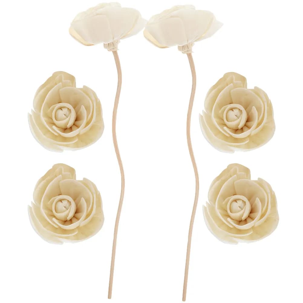 6Pcs Dried Flower Diffuser Sticks Essential Oil Aroma Sticks Home Scent Diffuser Reeds Essential Oil Diffusers