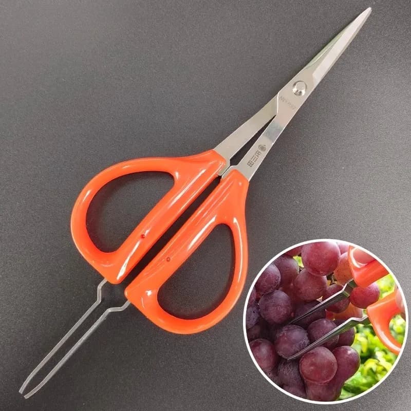 Professional multifunctional fruit harvesting scissors Fruit pruning shears Pick grapes Special scissors Garden tools