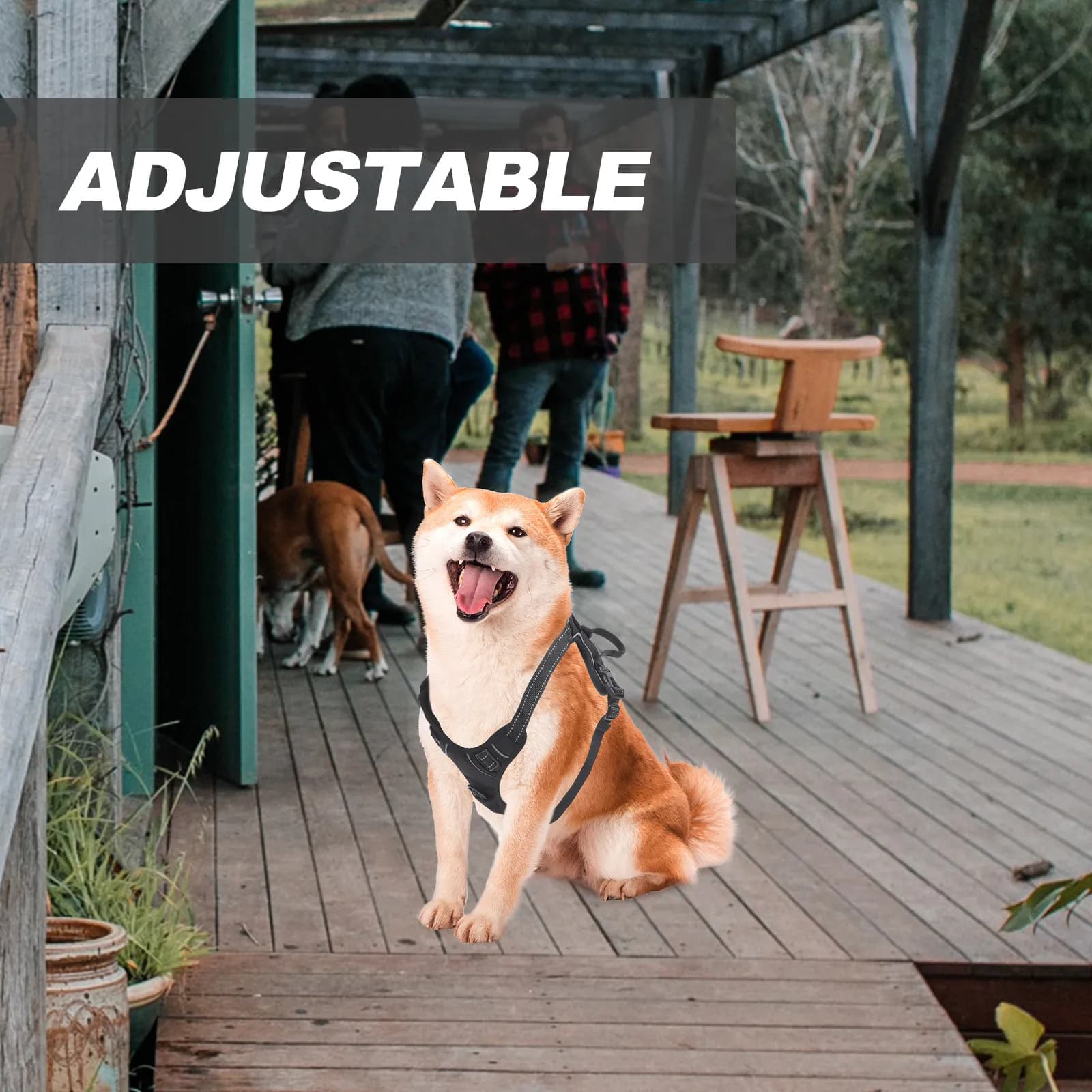 Cinghia Professionale Regolabile per Fotocamera da Petto per Cani, Supporto per Action Camera con Base a Sgancio Rapido e Imbottitura Morbida