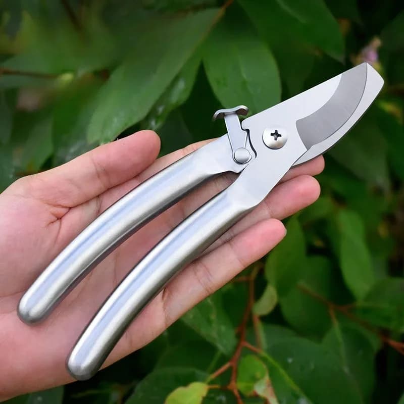 304 Stainless Steel Professional Power Scissors for Fruit Trees, Big Coppers and Flowers