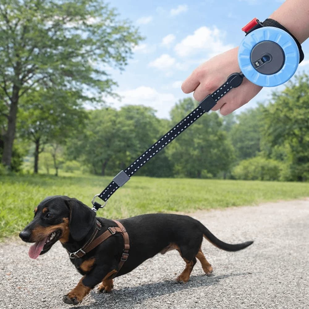 Guinzaglio per Cani Retrattile Automatico con Impugnatura Antiscivolo, Blocco a Un Clic, Corda Regolabile per Passeggiate