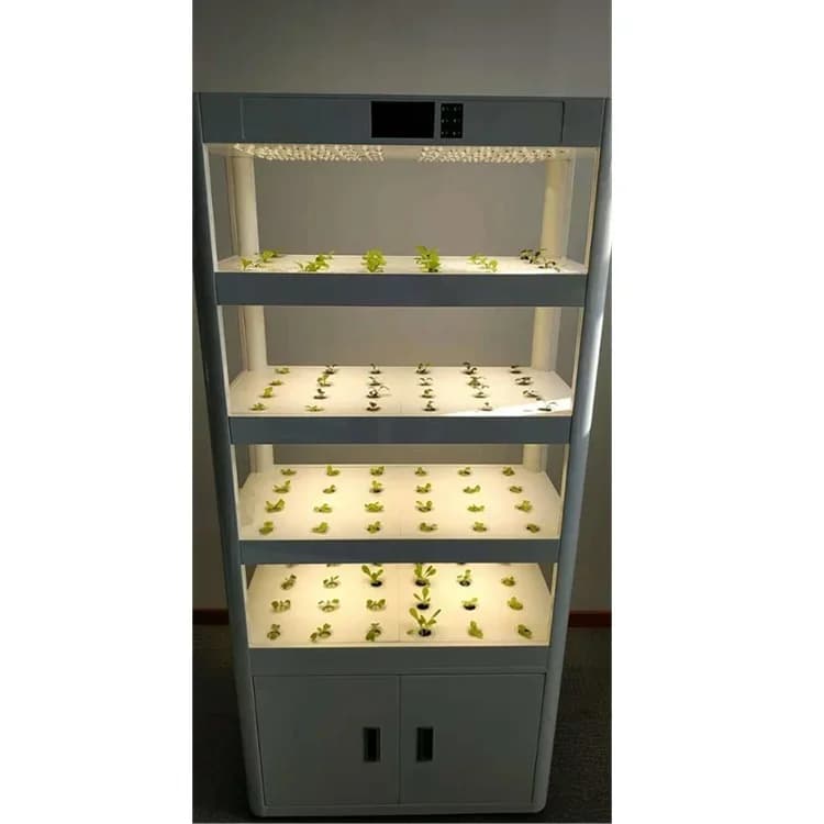 Best Selling Europe Style Indoor Intelligent Water Growing System Vege Seed Planter
