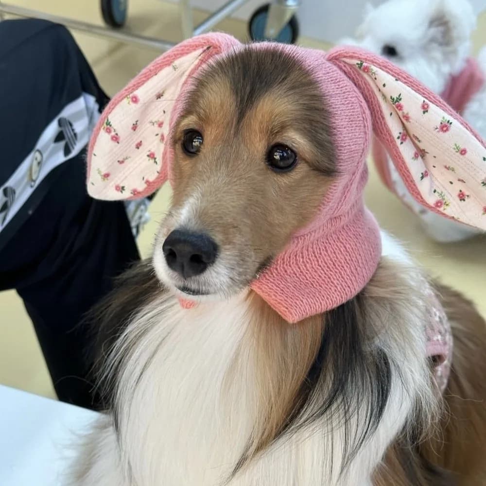 Simpatico cappello per animali domestici con orecchie di coniglio, caldo motivo floreale, copertura antivento per cani, comodo cappello per animali lavorato a maglia elastico morbido, costume da festa
