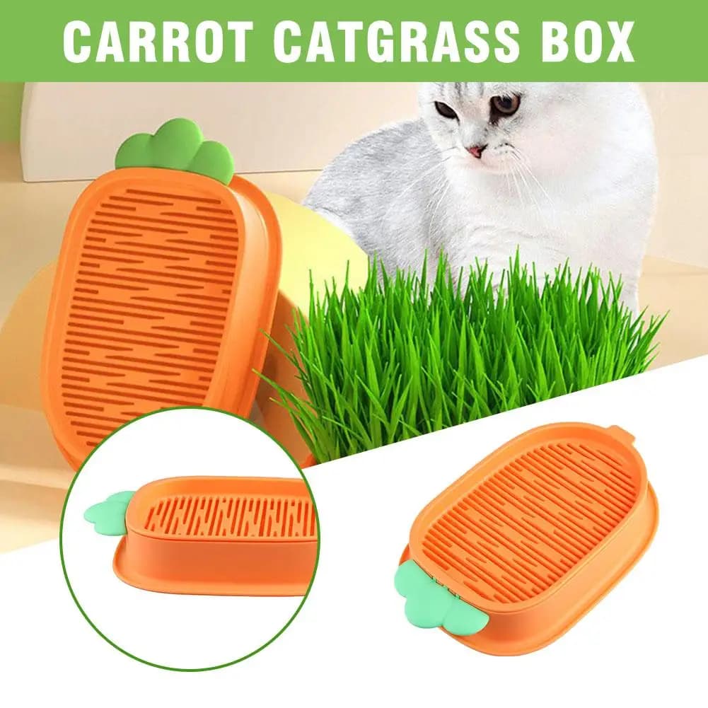 Carrot Catgrass Box PP Material Seedling Tray Catnip Hydroponic Without Cat Seeds Soilless Grass Nursery W1U6