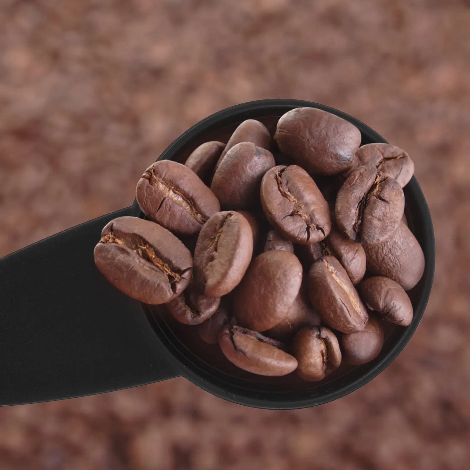 5Pcs Measuring Spoons Coffee Scoop Set Short Handle Precision Scale Design Kitchen Scoop for Coffee Tea Spices Sugar Milk Powder