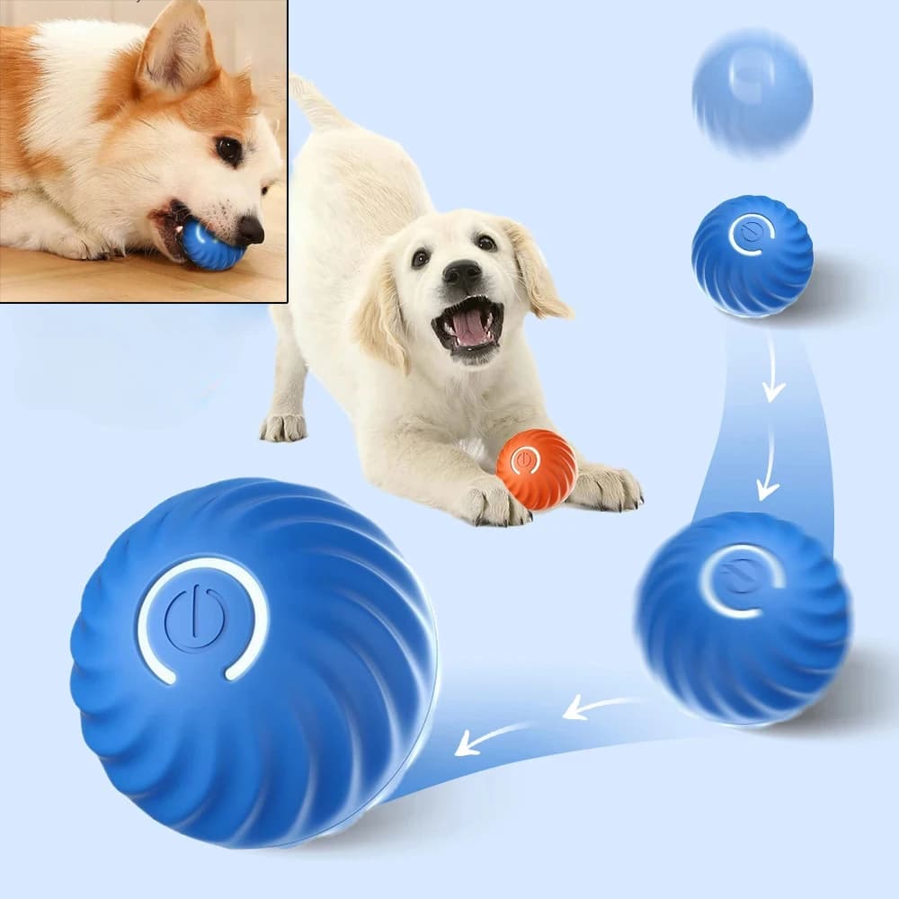 Dog toy ball, automatic movement, bouncing, rolling, USB, smart, interactive, for puppies, dog chewing ball