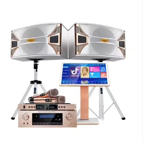 Professional QTV Good White Amplifier Speaker Home Theatre Smart Karaoke Set Professional Karaoke Machine Order