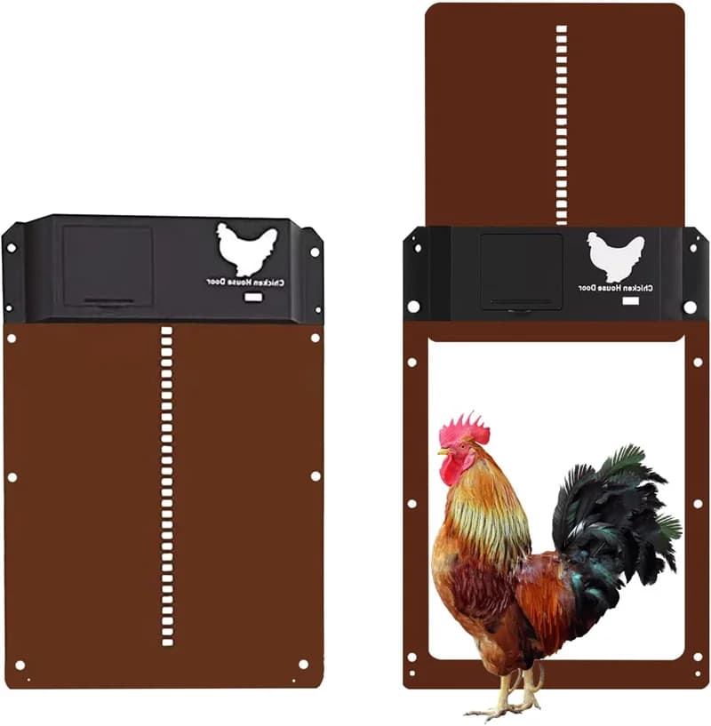 Porta automatica per pollaio Porta per casa di polli Sensore di luce Apri per polli da fattoria Animali domestici Forniture per porte con gabbia per anatre Alimentate a batteria