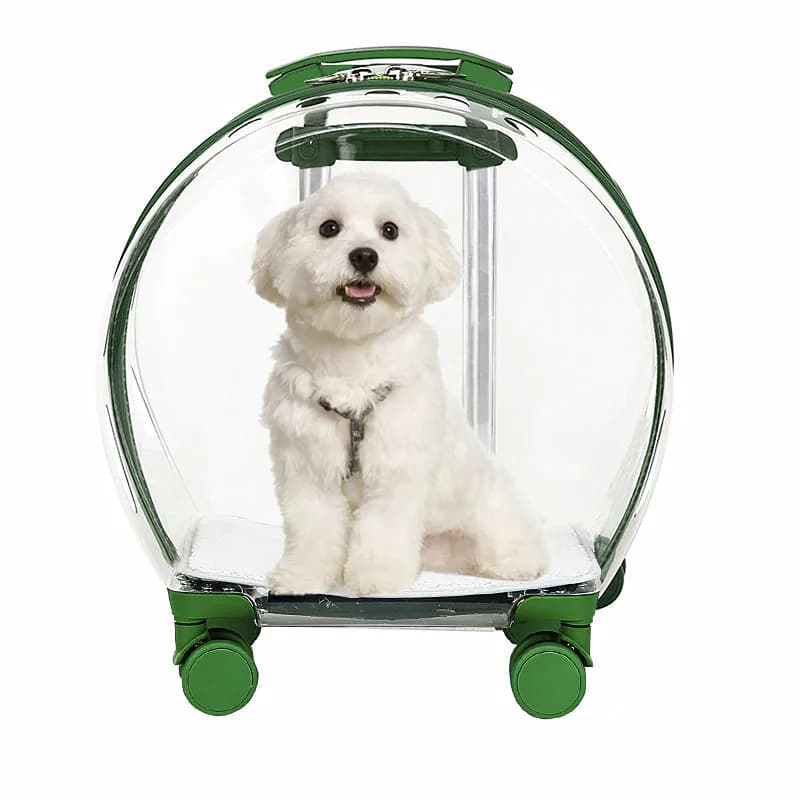 Trasportino Trolley Trasparente per Gatti e Animali Domestici - Borsa da Trasporto con Ruote e Gabbia per Gatti - Prodotti per Animali Domestici
