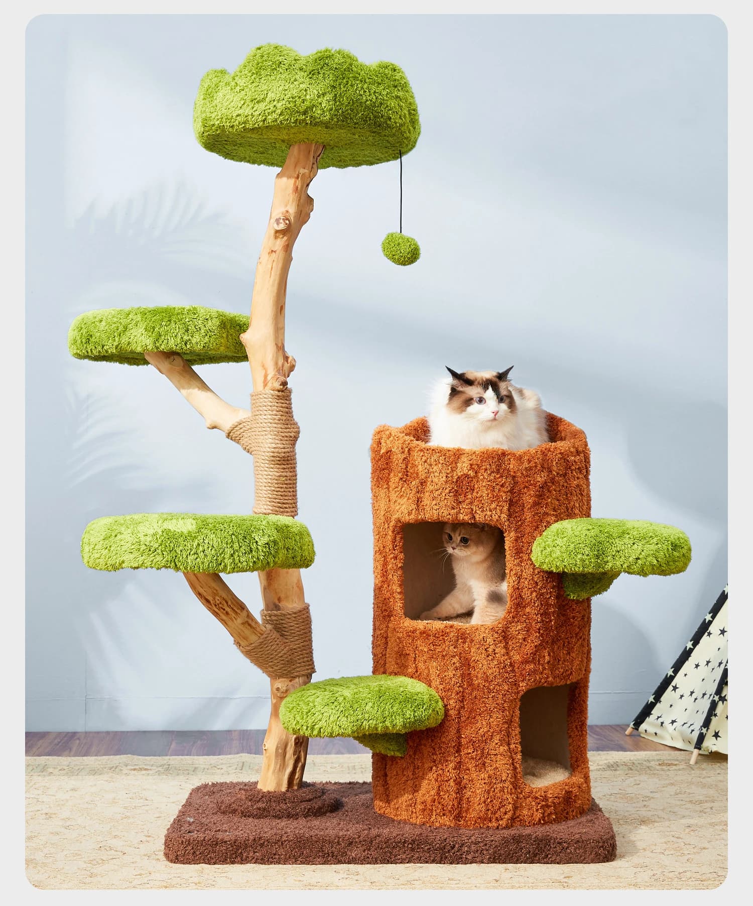 Struttura da arrampicata per gatti in legno massello Nido per gatti Albero All-in-one Non occupa spazio Piattaforma per saltare per gatti in sisal Giocattoli Serie di fori per alberi