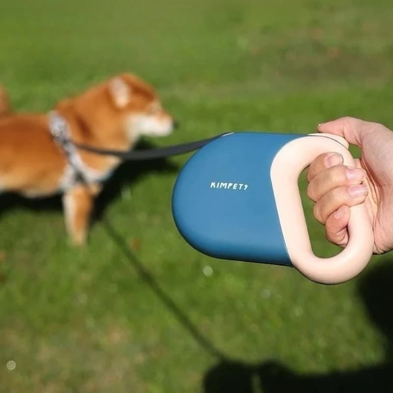 Guinzaglio Retrattile per Cani 5M, Corda di Trazione Riflettente Automatica Flessibile per Cani Piccoli e Medi, Prodotti per Passeggiate