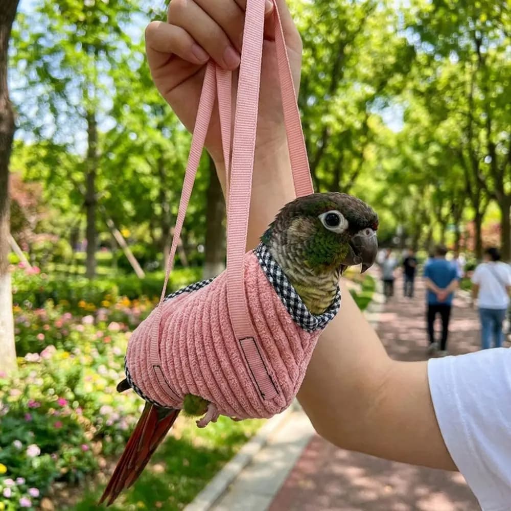 Portable Parrot Vest Carrier Anti Escape Breathable Bird Backpack Carrier Soft Fabric with Harness Bird Travel Bag Pet Outing