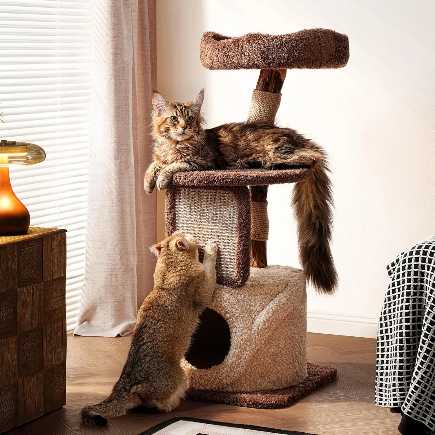 Torre per Gatti in Legno Massiccio Moderna, Alta 40 Pollici, per Gatti da Interno Adulti, Robusta e Personalizzabile