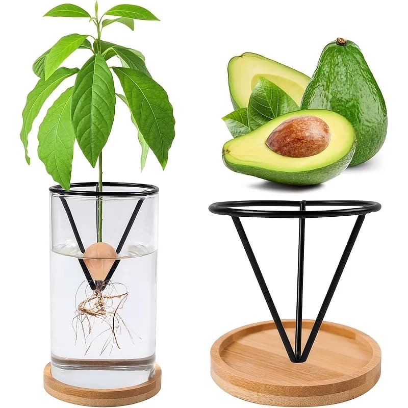 2 Vasi Conici Trasparenti per Idroponica, Leggeri e Sospesi, per Avocado e Piantine, Ideali per Giardini da Interno/Esterno