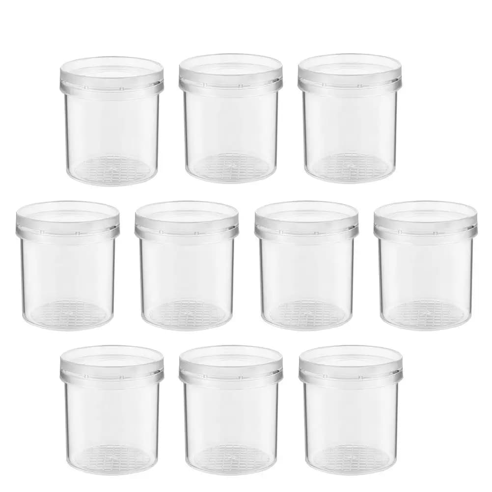 Set di 10 Contenitori per l'Osservazione degli Insetti, Strumento Educativo Scientifico per Bambini, con Lente d'Ingrandimento e Griglia di Misurazione, in Plastica di Alta Qualità