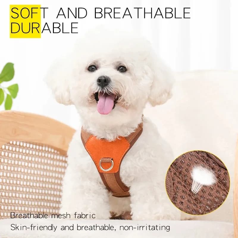 Pettorina per cani Cintura toracica Collare per gatti Accessori Guinzaglio per cuccioli Set Forniture Imbracatura Forniture per cani