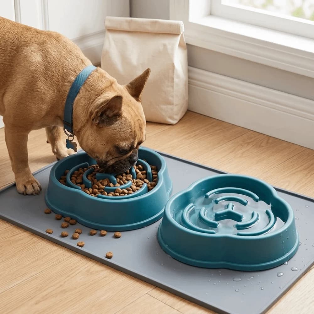 Food Grade PP Slow Feeder Bowl Silicone Non Slip Pad Small Medium Pets Anti Choke Dish Slow Feed Structure Cute Shape
