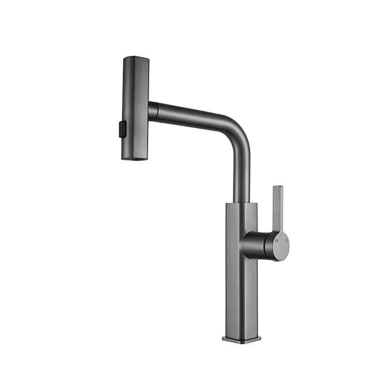 Rubinetto da Cucina in Acciaio Inox 304 Oro Spazzolato/Grigio con Doccetta Estraibile e Miscelatore Acqua Calda e Fredda