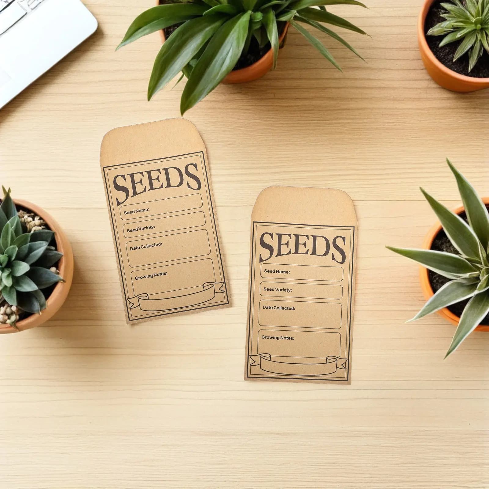 50 Pieces Mini Kraft Card Envelopes Recruitable for Preservation Seeds and Vegetables, Coin Organization