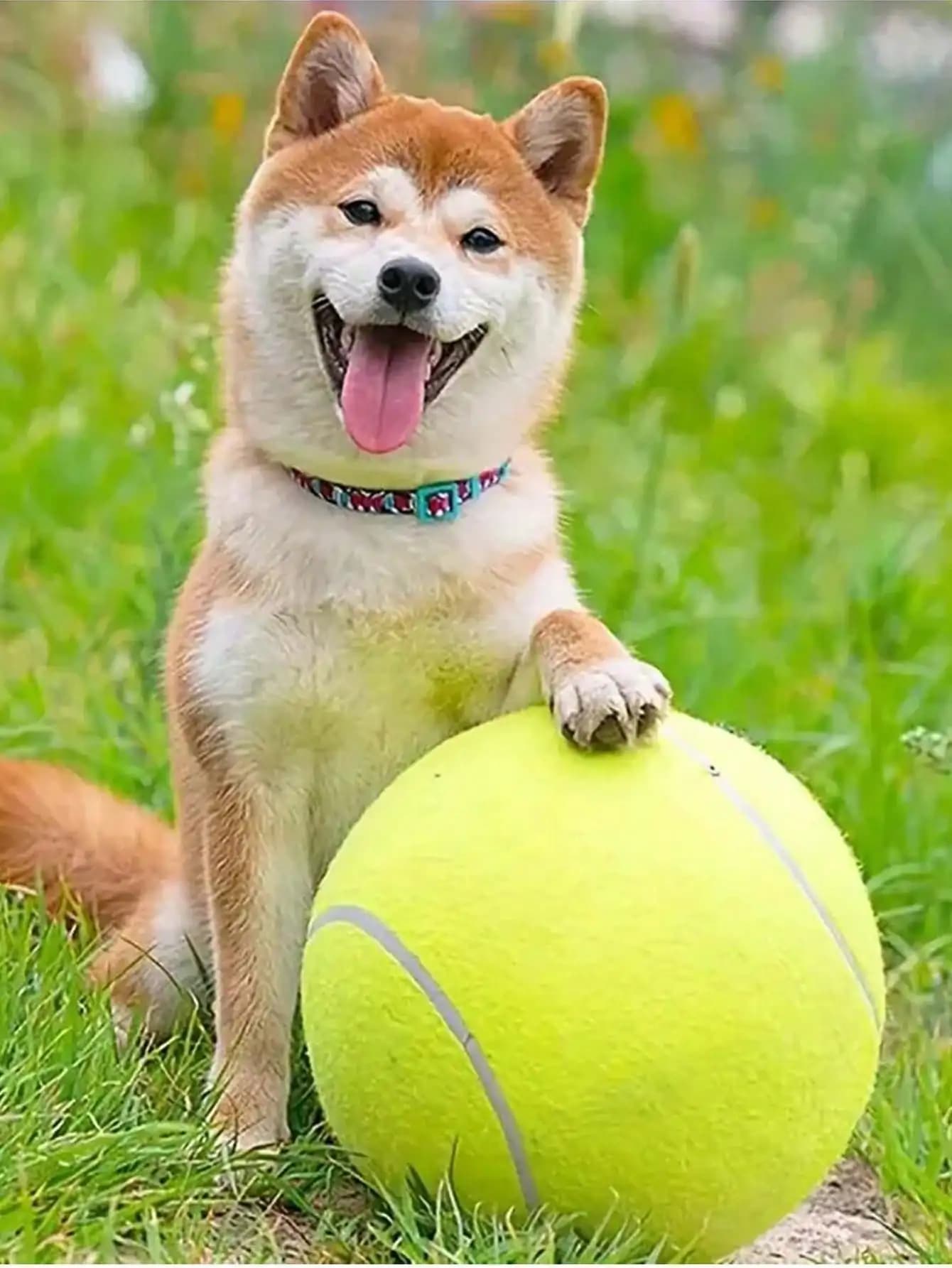 1pc Pet Tennis Ball, 24cm/9.5in Dog Tennis Ball Thrower For Training, Interactive Dog Toys