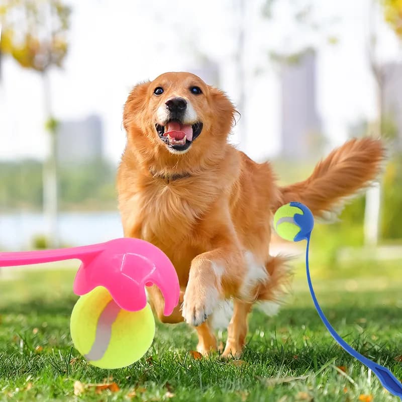 Dog Ball Launcher Toy Manual Tennis Ball Thrower for Dogs Outdoor Interactive Fetch Training Tool Pet Accessories Long Handle
